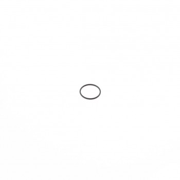 Gigant O-Ring [02500040]